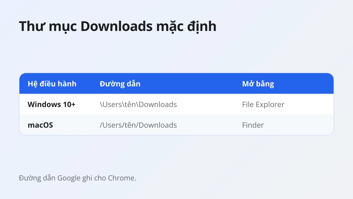 Bảng thư mục Downloads mặc định chứa video Threads trên Windows và macOS