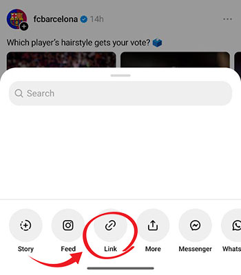 Step 2: Paste URL into Snapvn